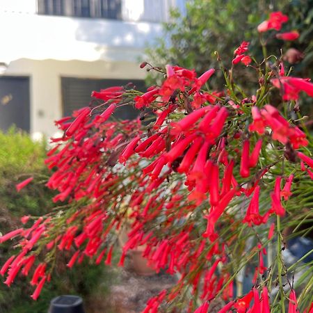 파포스 Natalia'S Townhouse, Margarita Gardens 003 빌라 외부 사진